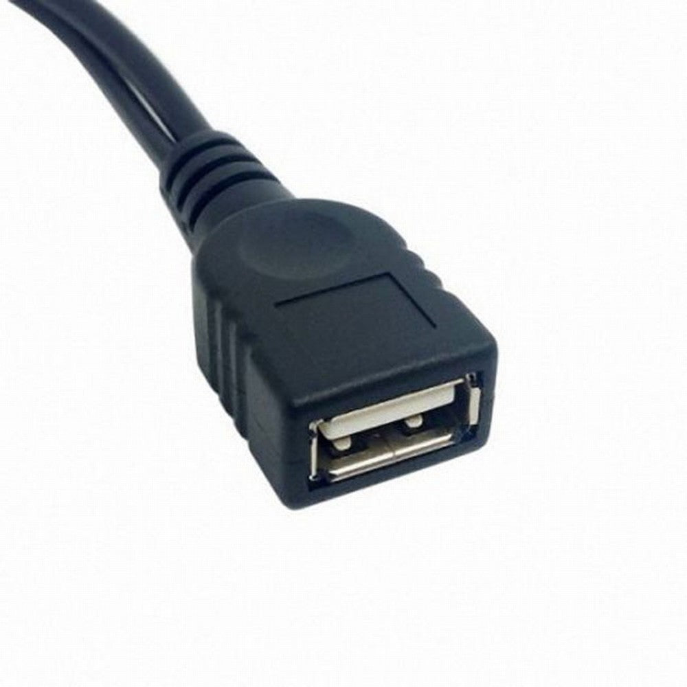 Black USB 2.0 Female A to Dual A Male Extra Power Data Y Extension Cable for 2.5" Mobile Hard Disk U2-131