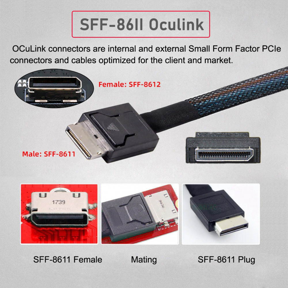 Dual Oculink SFF-8612 SFF-8611 to M.2 NGFF M-Key NVME PCIe SSD 2280 22110mm Adapter for Mainboard